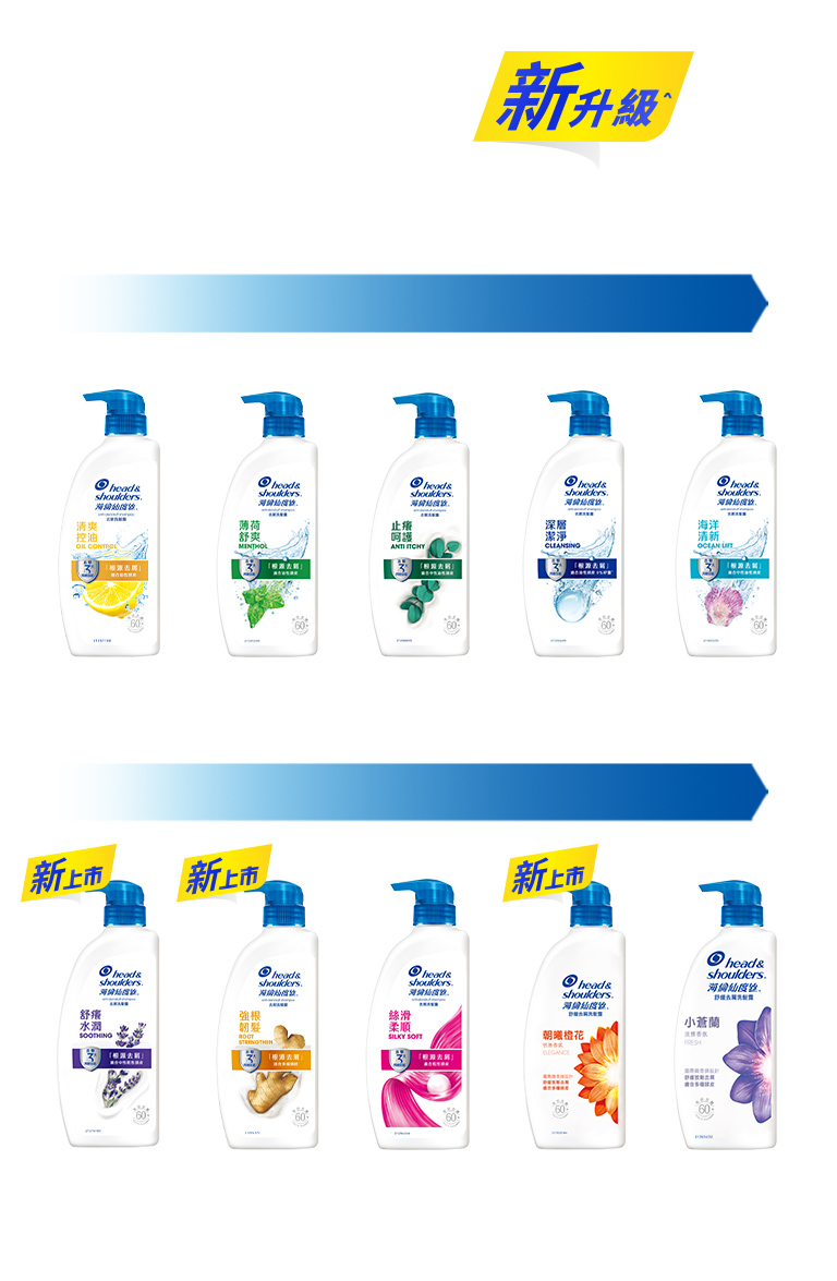 經典系列新升級 針對不同頭皮提供解決方案