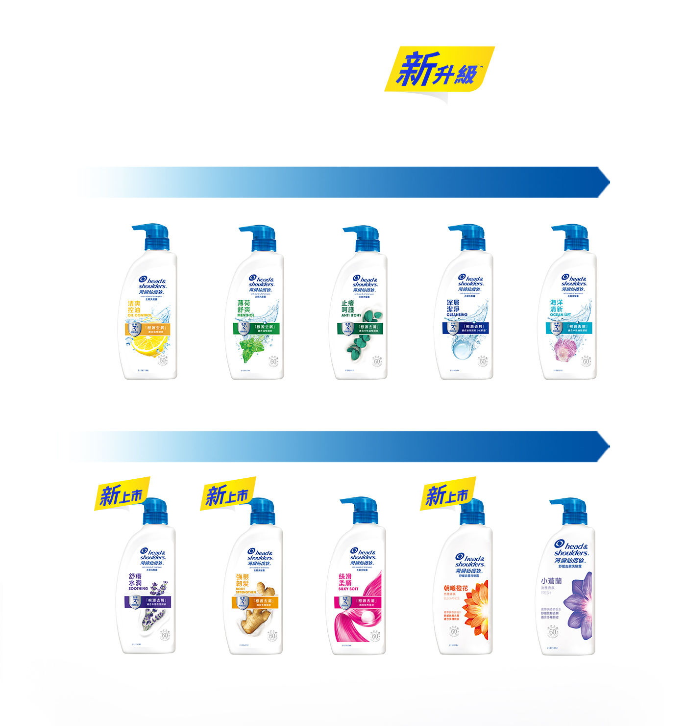 經典系列新升級 針對不同頭皮提供解決方案